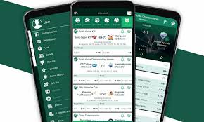 Comprehensive Guide to BetWinner Brazil Bonuses Comprehensive Guide to BetWinner Brazil Bonuses
