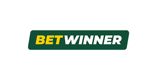 Comprehensive Review of BetWinner Casino and Sportsbook -811447745