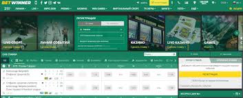 Understanding BetWinner Terms and Conditions A Comprehensive Guide